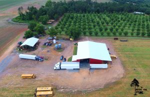 Sycamore GA Farm & Packing House
